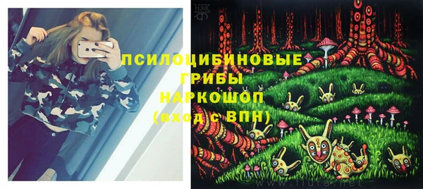 мдпв Алапаевск